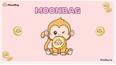 moonbag-emerges-as-a-visionary-investment-on-the-best-crypto-presale-list-following-bonk-rides-25%-womio-promises-1000x-returns, 